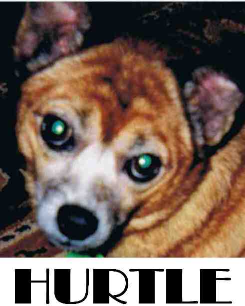 Hurtle logo